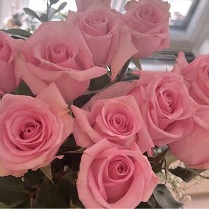 Meet your Posher, Rose